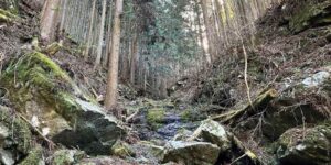 和歌山県かつらぎ町花園久木①