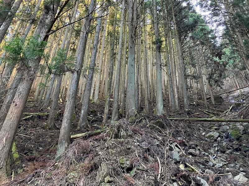 谷あいの様子※対象左