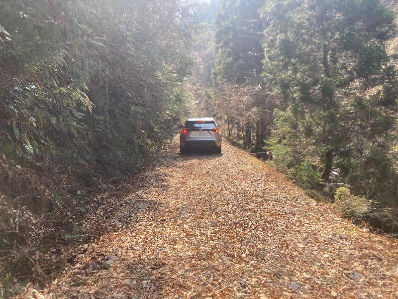 対象地へ至る林道※対象外