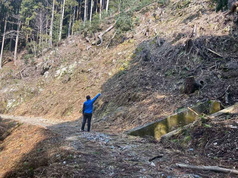 前面道路・南側境界付近