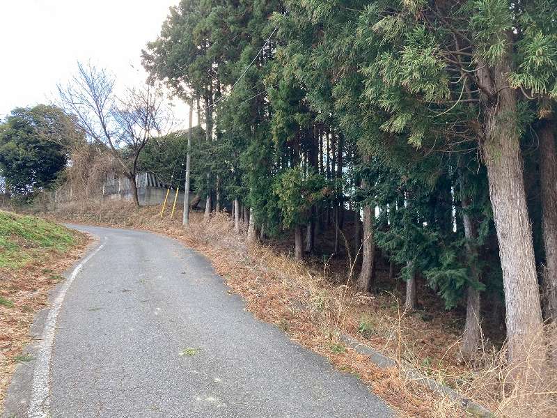 前面道路※対象右