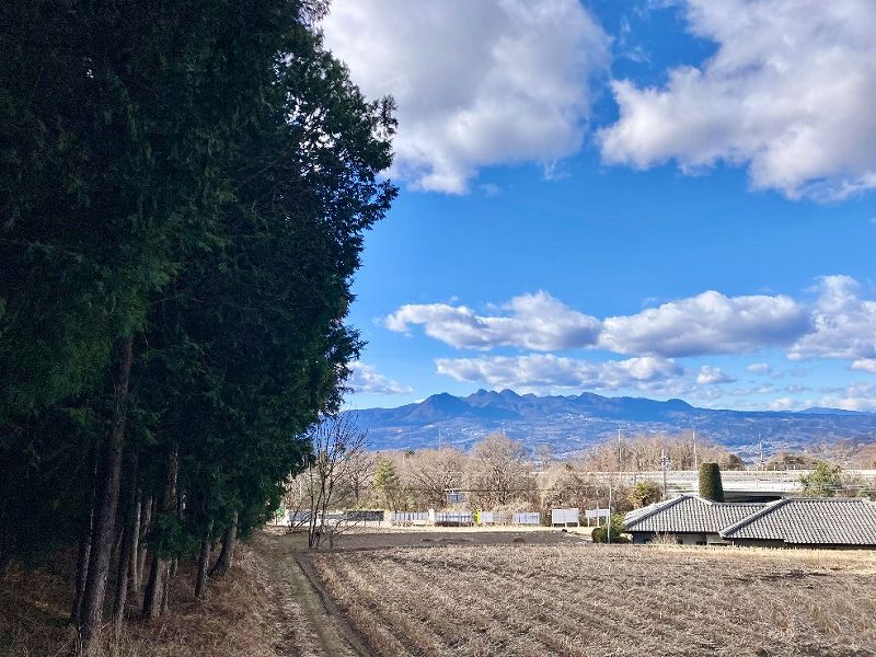 対象地西側境界付近※対象左