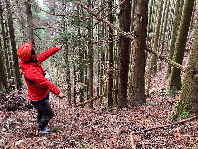 西側・境界の杭※対象右