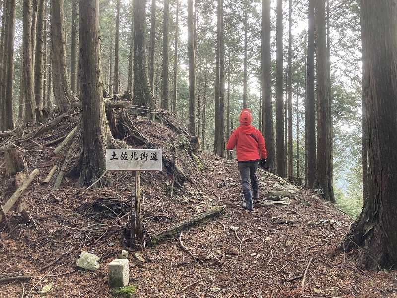 登山道「土佐北街道」※対象外