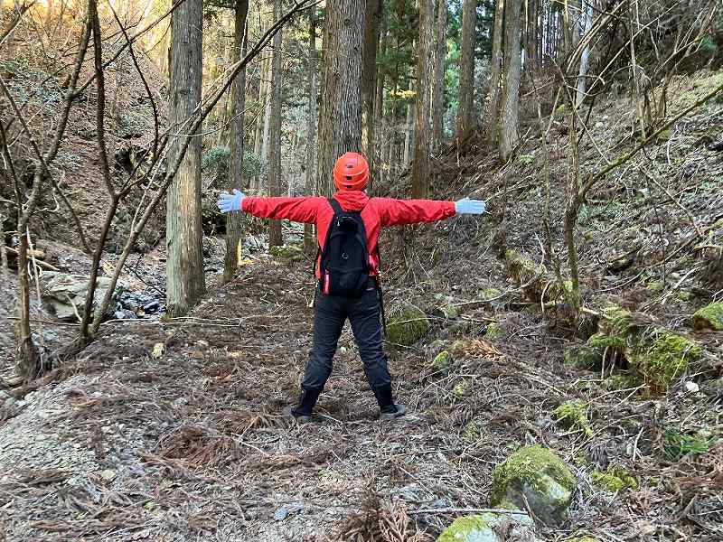 林道沿い緩斜面