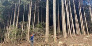 岡山県苫田郡鏡野町