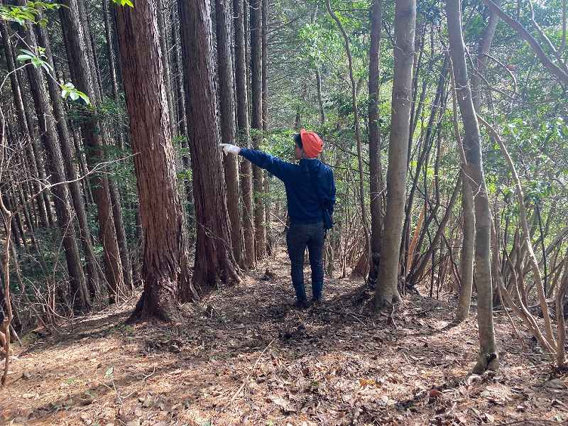 境界付近※対象左