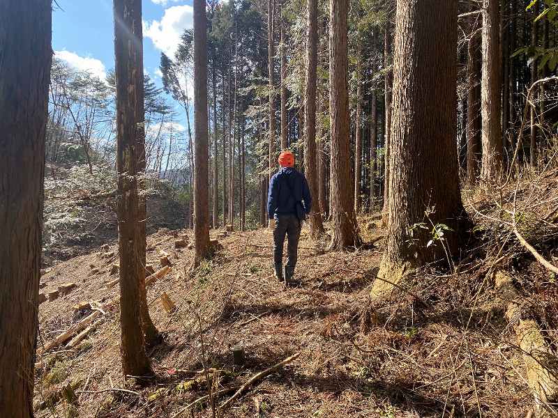 現地へ向かう歩道※対象外