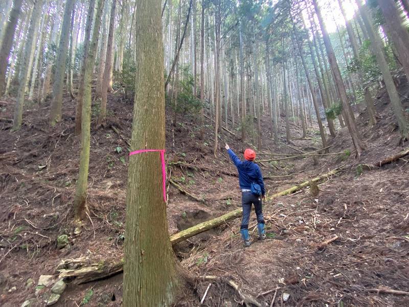 谷合の様子※対象左