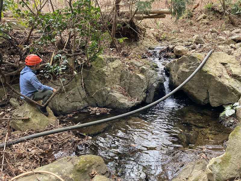北側境界の沢※対象外