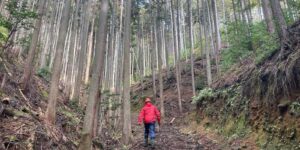 京都府南丹市日吉町木住①