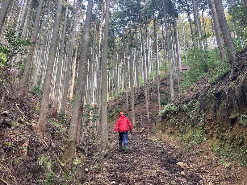 京都府南丹市日吉町木住①