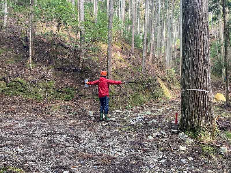 林内への入口※対象奥