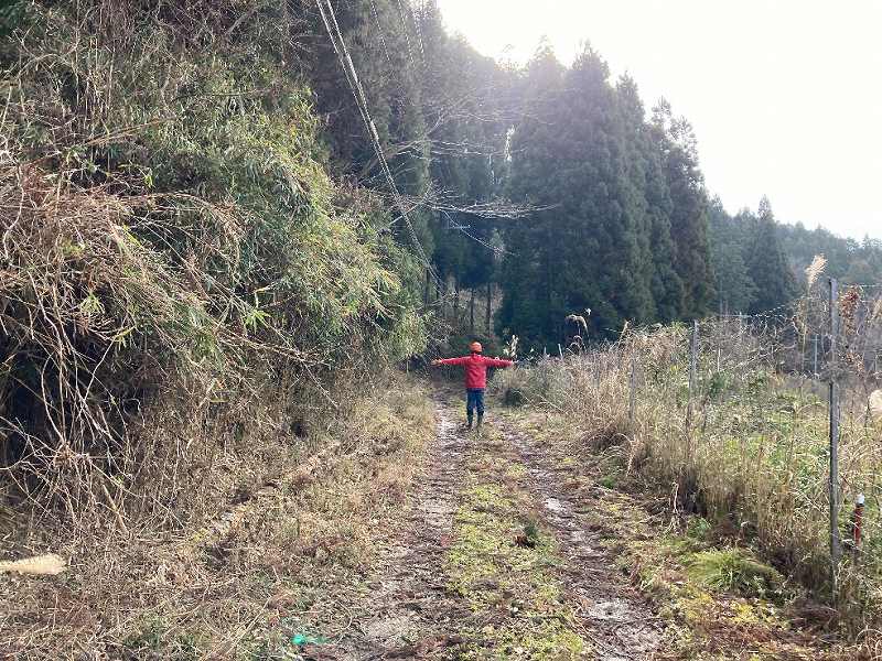 前面道路※対象外