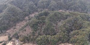 千葉県勝浦市法花