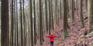 愛媛県四国中央市新宮町