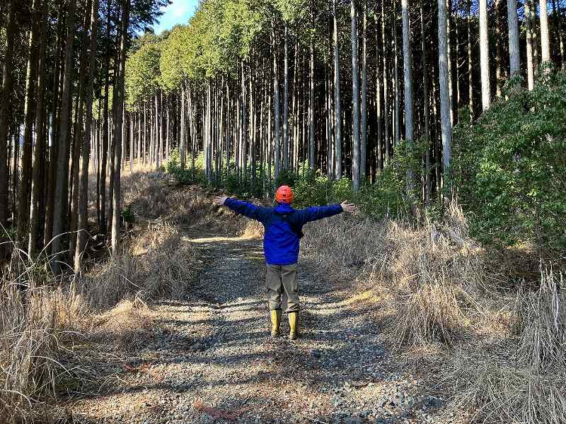 前面の林道※対象右