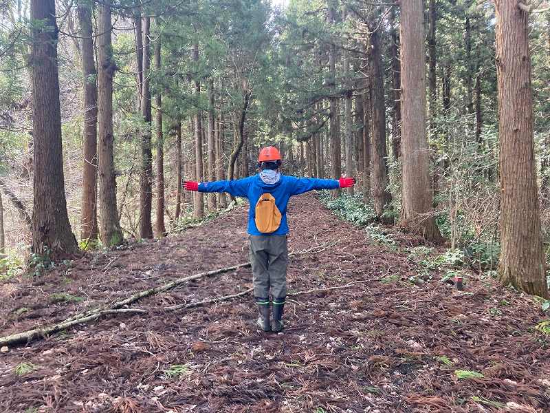 前面道路(対象左)