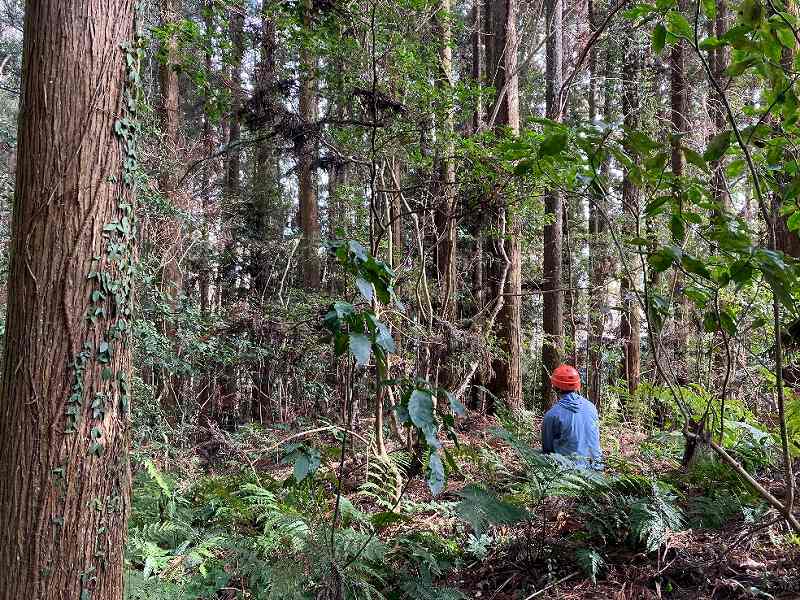 【東部分】平坦地