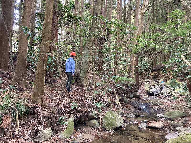 【東部分】川沿い※対象左