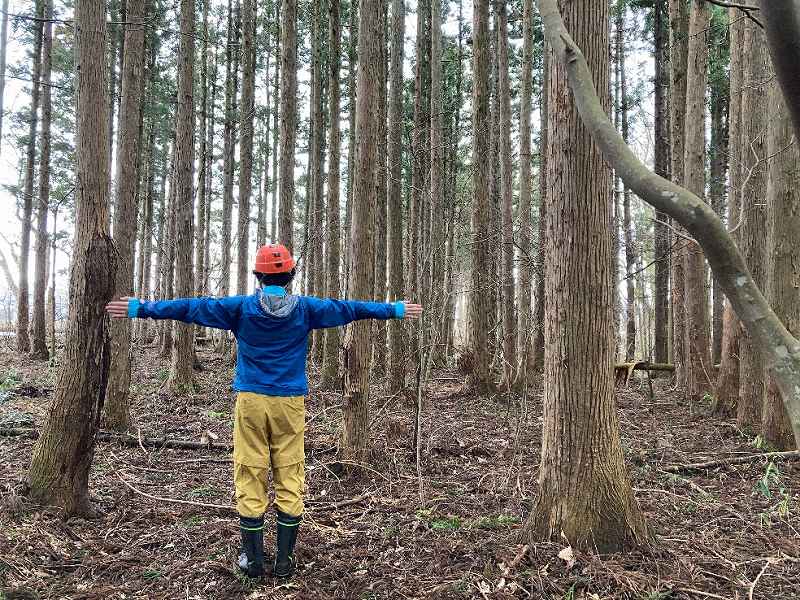 林内の様子②