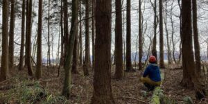 岩手県花巻市栃内10地割