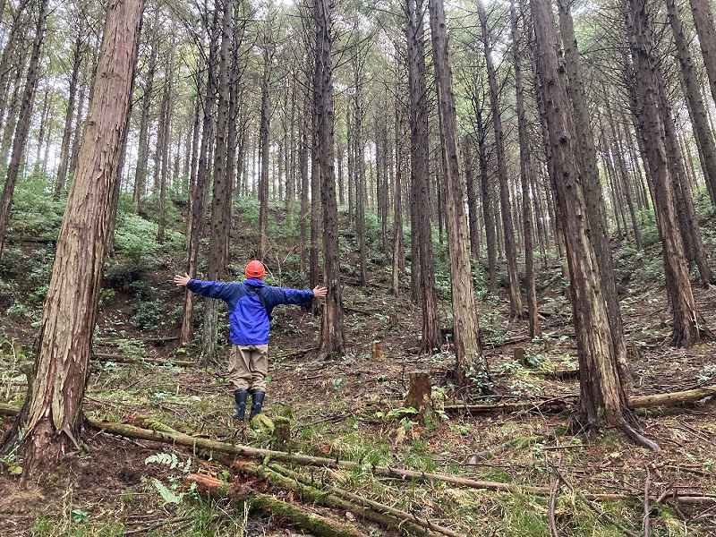 兵庫県丹波市山南町