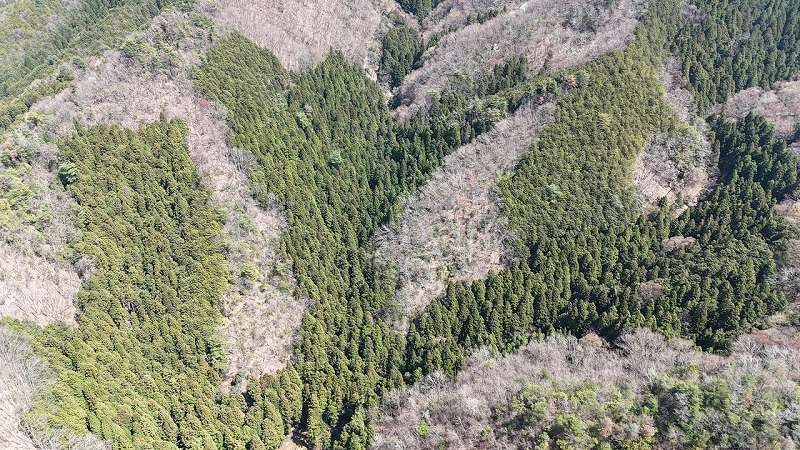 上空から見た現地