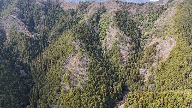 上空からみた現地