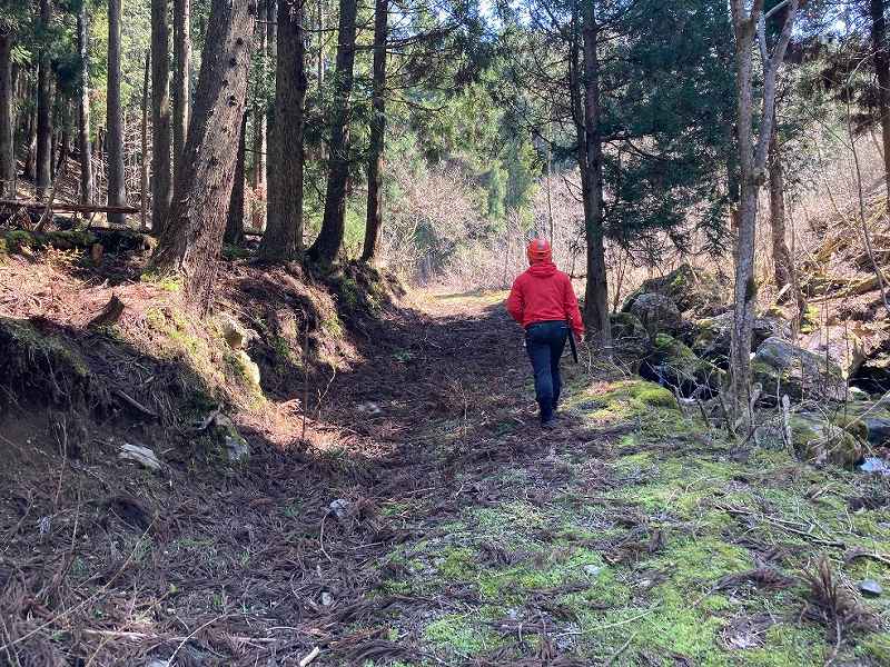 浅原林道※対象外