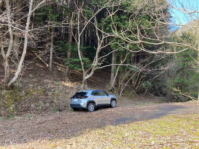 公道から見た現地