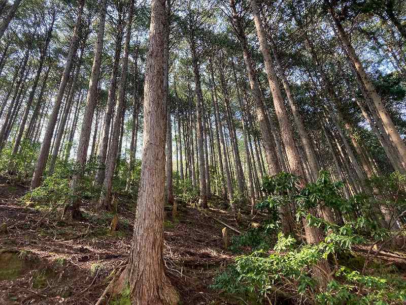 京都府福知山市夜久野町