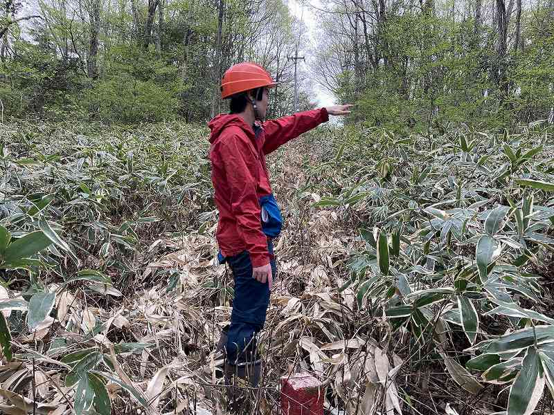 南側境界付近※対象右