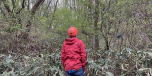 岡山県新見市哲多町