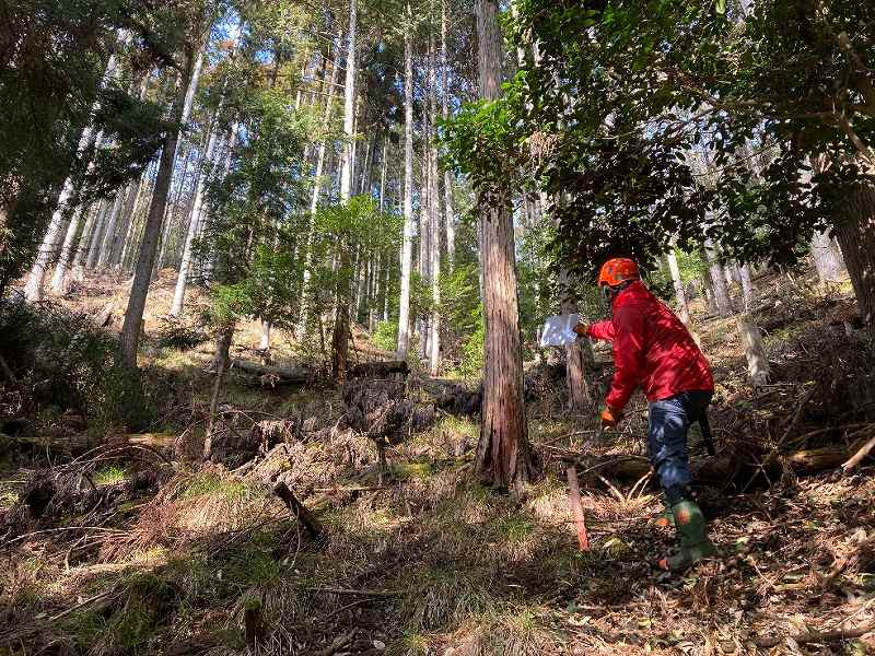 境界杭※対象左