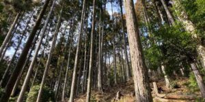 京都府南丹市日吉町木住