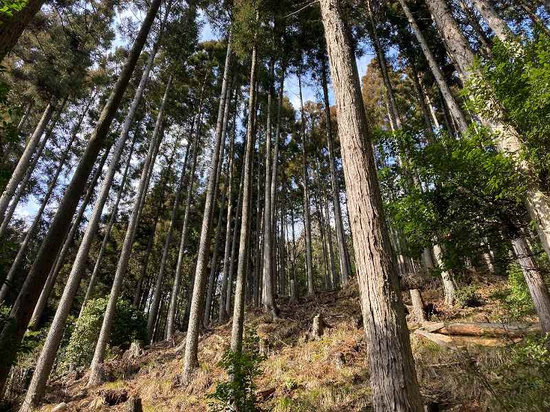 京都府南丹市日吉町木住