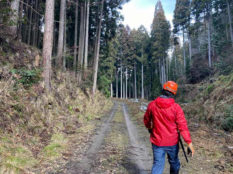 林道(手前)※対象外