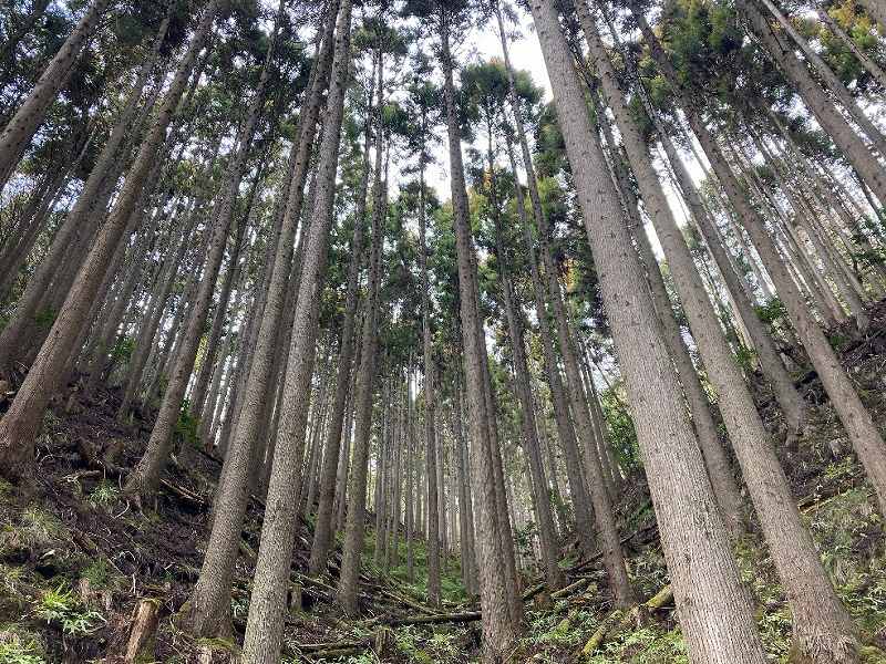 京都府南丹市日吉町中世木
