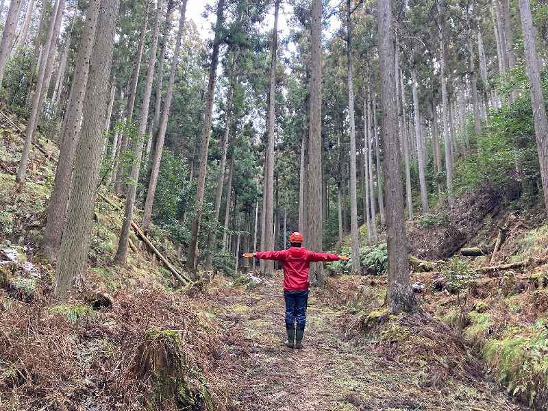 作業道※対象外