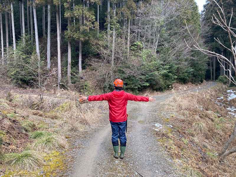 林道(奥)※対象外