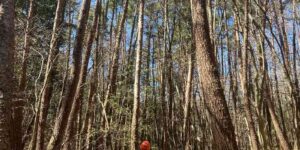 長野県諏訪郡富士見町②
