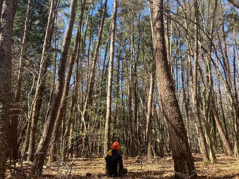 長野県諏訪郡富士見町②