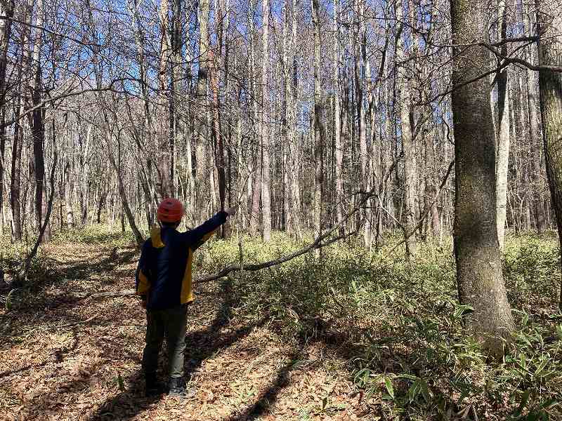 飛び地※対象右