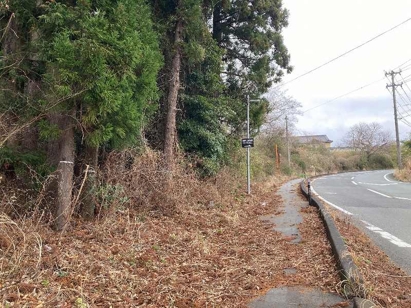 接道部分の様子