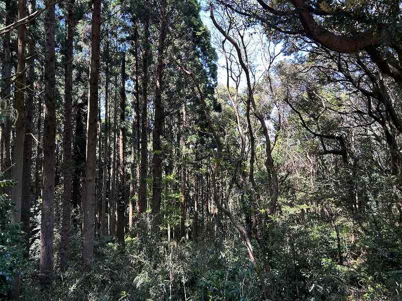 千葉県香取市田部