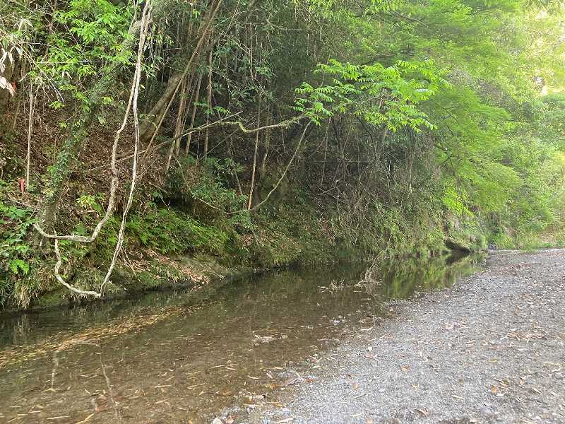 前面の秋津川※対象奥
