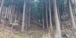 349岩手県遠野市宮守町①