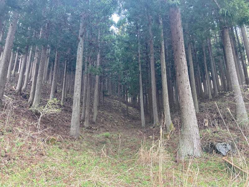 349岩手県遠野市宮守町①