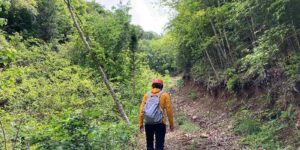 茨城県常陸大宮市鷲子②
